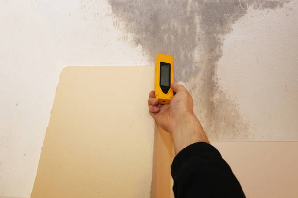 Mold Remediation for Rental Properties in Old Tappan, NJ