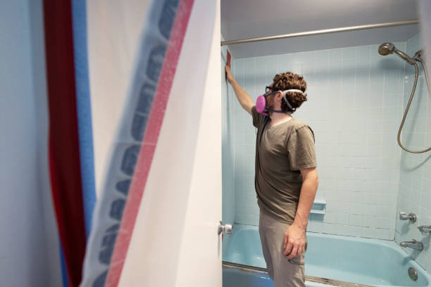 Best Black Mold Removal  in Old Tappan, NJ