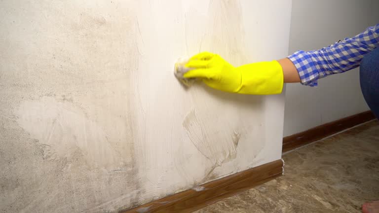 Mold Odor Removal Services in Old Tappan, NJ