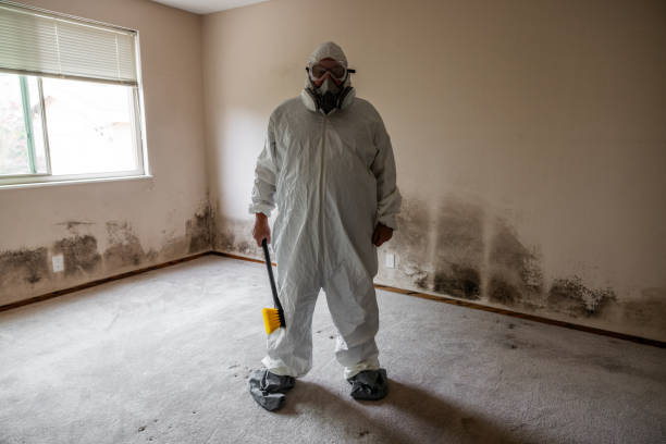 Old Tappan, NJ Mold Removal Company